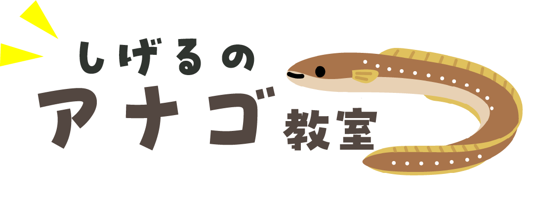 しげるのアナゴ教室